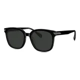 BL3121C10-Gray/Поляризованные