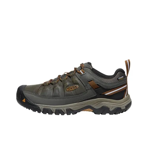 Keen Targhee 3 WP Альпинистские и туристические ботинки Низкий верх Темно-коричневый Мужской