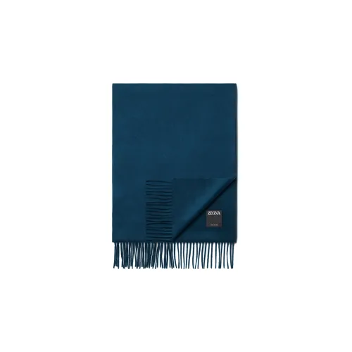 Ermenegildo Zegna Кашемир Вязаные шарфы Синий Унисекс