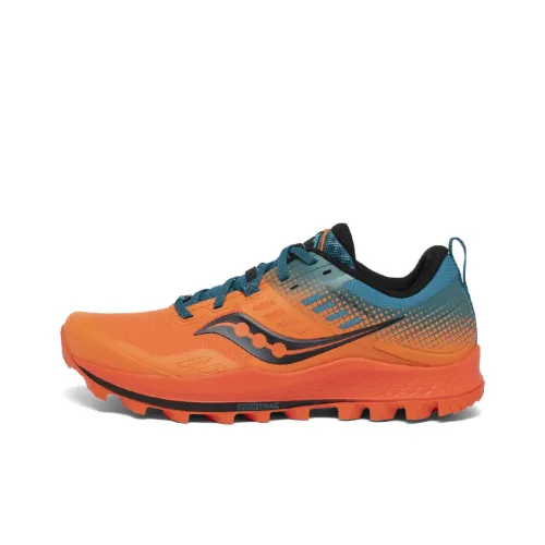 Saucony PEREGRINE 10 Peregrine Falcon Беговые кроссовки Низкий Топ Мужской