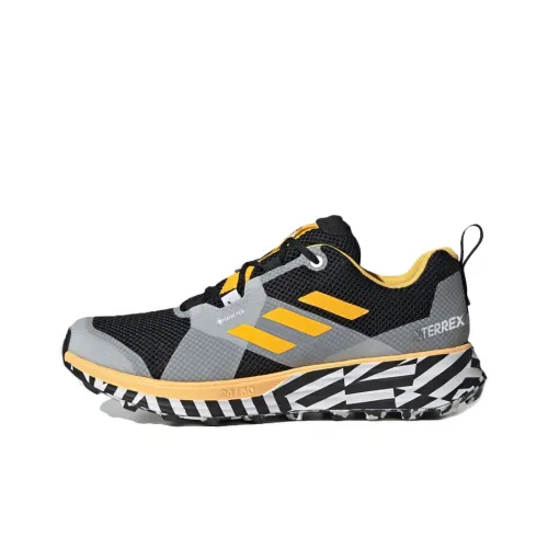 adidas Terrex Два Gore tex Trail Running Амортизация и Дышащий Низкий Топ Беговые кроссовки Мужские