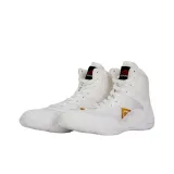 Святой Рыцарь