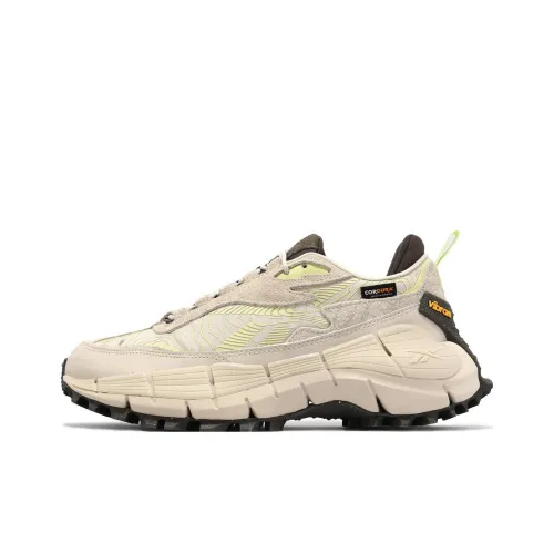 Reebok совместный бренд Zig Kinetica 2,5 Амортизация Износостойкий низкий топ Повседневная беговая обувь Унисекс Бежевый