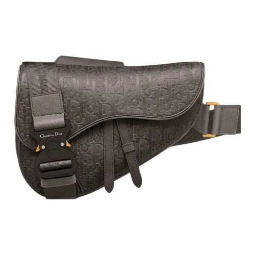 DIOR Седло Телячья кожа Сумка через плечо Мужская Коричневая