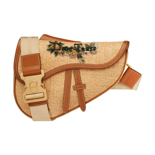 DIOR Седло OBLIQUE Холст Телячья кожа Седло Сумка Сумка через плечо Мужской Естественный Коричневый