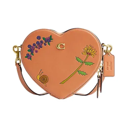 COACH Сердце Сумки Кросс-боди Женские