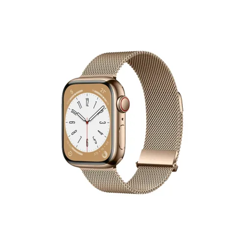 Biaodaige Ремень Apple Совместимость Нержавеющий Стальной Материал