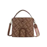 H-357 - Проекция, медведий коричневый