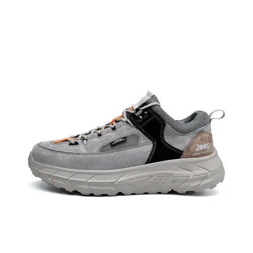 JEEP Скейтборд Кроссовки Низкие Топ Мужские