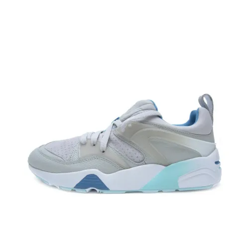 PUMA Blaze Of Glory Low Топ Повседневная обувь Унисекс Серый