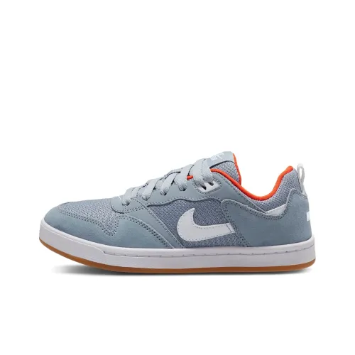 Nike SB Alleyoop Low Топ Скейтборд Кроссовки Женские Серый Синий Белый