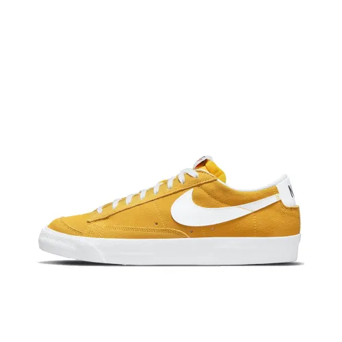 Nike Blazer Скейтборд Кроссовки Низкие Топ Мужские