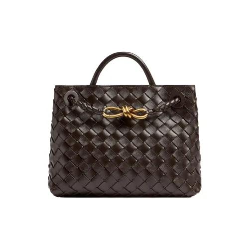 Bottega Veneta Andiamo series Овчина Сумка через плечо Сумка Маленькая Женская Шоколадно-коричневая