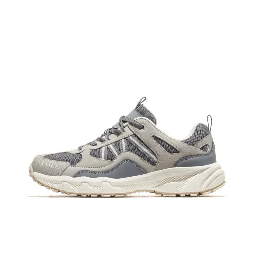 CAMEL Plate Dragon 1,0 Pro Suede Low Top Streetwear Men's Slate Blue