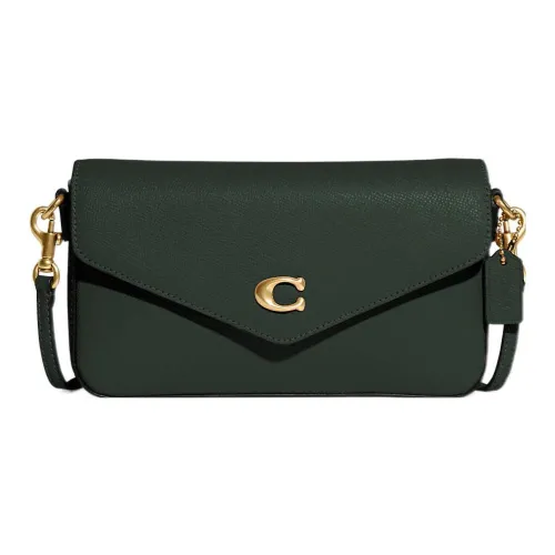 COACH Wyn Кожа Конверт Сумка через плечо Маленькая Женская Amazon Зеленая