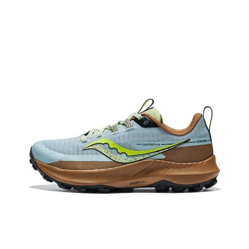 Saucony Peregrine 13 Peregrine Falcon 13 Low Топ Беговые кроссовки Женские Синий Коричневый