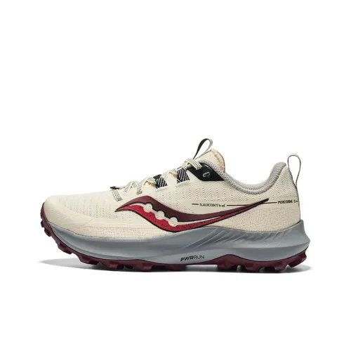 Saucony Peregrine Falcon 13 Беговые кроссовки Низкий верх Бежевый Красный Женские