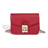 Сумка + Пылезащитный чехол