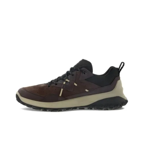 Ecco Casual Низкий Топ Коричневый Мужской