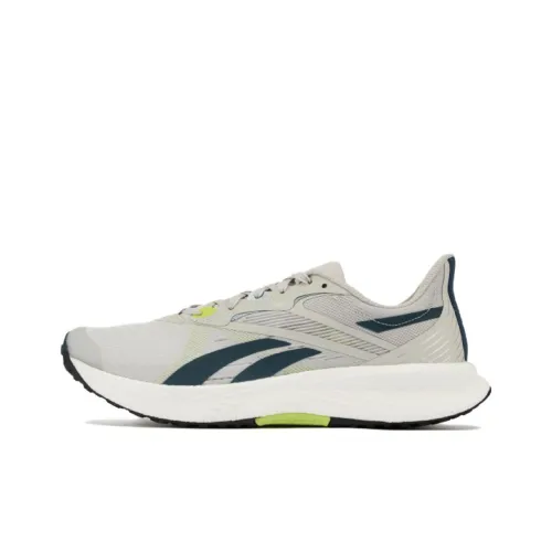 Reebok Floatride Energy 5 Устойчивые к истиранию Низкие Беговые кроссовки Мужские Серые