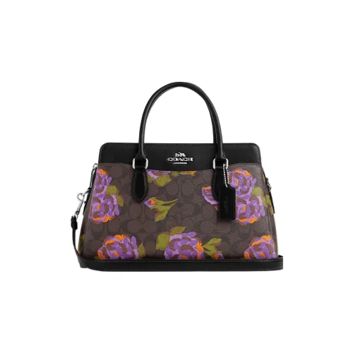 COACH Darcie Холст и Кожаная Сумка-Купол Сумка через плечо Сумка Большая Женская Коричневая