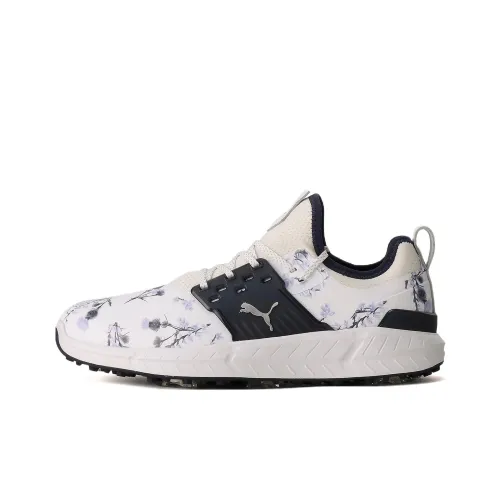 PUMA Ignite Articulate Lowlands Low Топ Обувь для гольфа Синий Белый