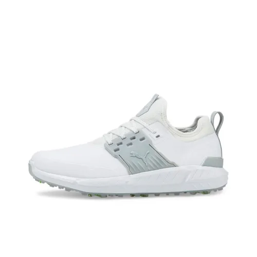 PUMA Ignite Articulate Широкий Golf Shoes Мужские Белый Серебристый Серый