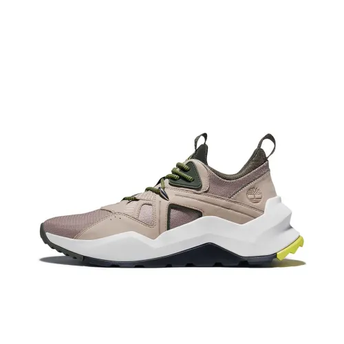 Timberland Уличная обувь Низкий топ Мужской