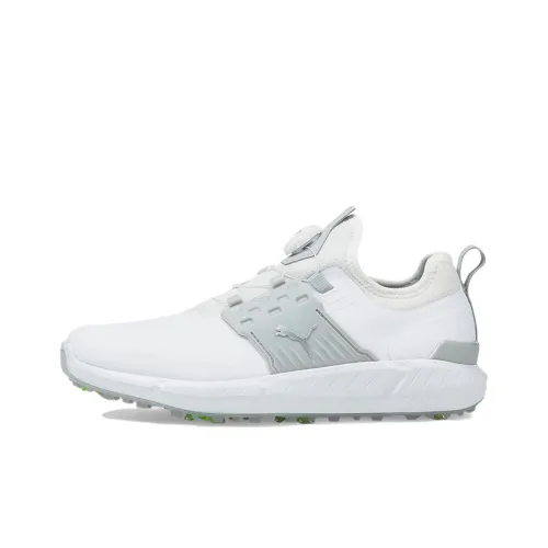 PUMA Ignite Articulate GOLF Сочлененный Disc SPIKE Низкий Топ Гольф Обувь Мужская Белый Серый