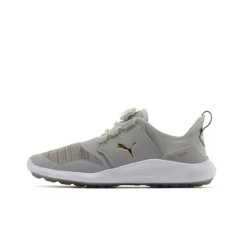 PUMA Ignite Series NXT Disc Низкий Топ Обувь для гольфа Мужская Серый