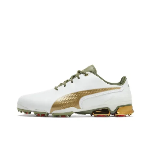 PUMA Ignite Series Proadapt X Low Топ Мужская обувь для гольфа Белый Зеленый