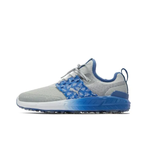 PUMA Ignite Articulate Pollination Мужская обувь для гольфа Серый Синий