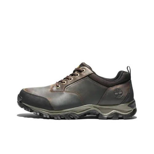 Timberland Keele Ridge Уличная обувь Низкий топ Мужской