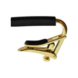 C1g (Титан Глянцевый)