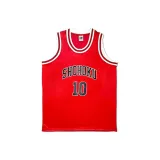 Номер 10 Сакураги Ханамичи