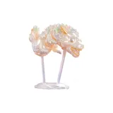 Подтвержденная версия модели - Дракон Leap (разборка и сборка)