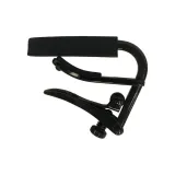 C1k (Вороний Золотой)