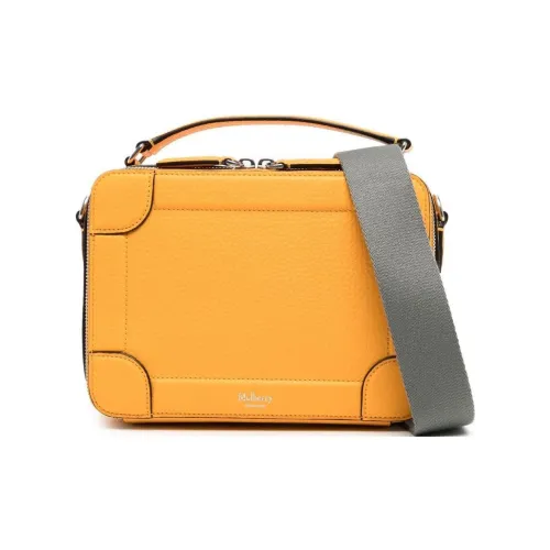 Клатчи Mulberry Мужской