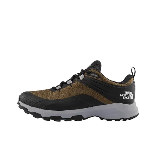 The North Face Альпинистские и туристические ботинки низкие, зеленые, мужские