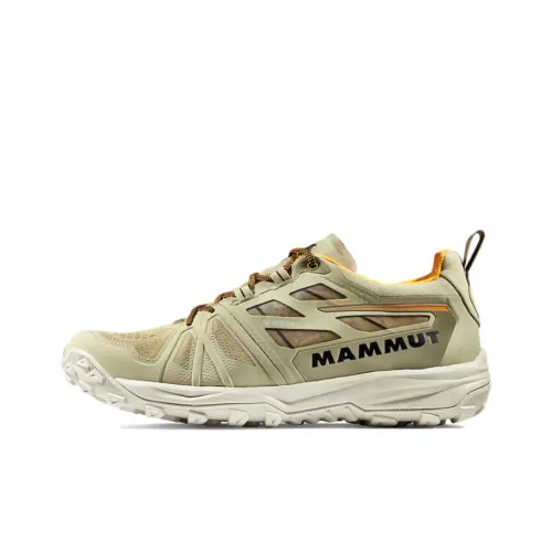 MAMMUT Saentis Уличная обувь Низкий топ Хаки Черный Многоцветный Мужской