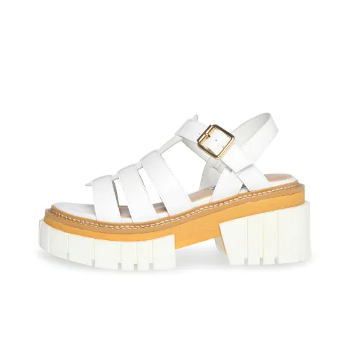 STEVE MADDEN Сандалии в римском стиле Женские