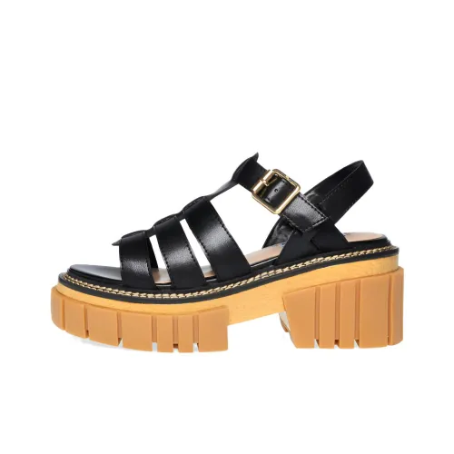 STEVE MADDEN Сандалии в римском стиле Женские
