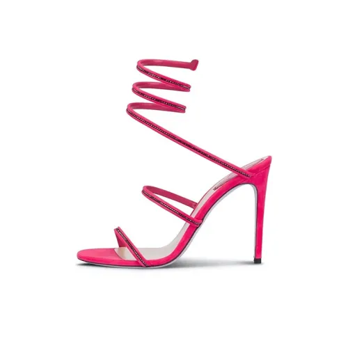 RENE CAOVILLA One Ремешок Сандалии Женские Фуксия