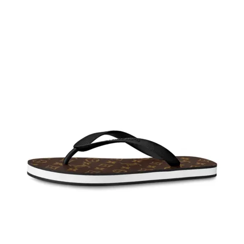 LOUIS VUITTON Molitor Шлепанцы Мужской Коричневый