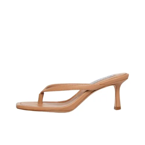STEVE MADDEN Шлепанцы Женские