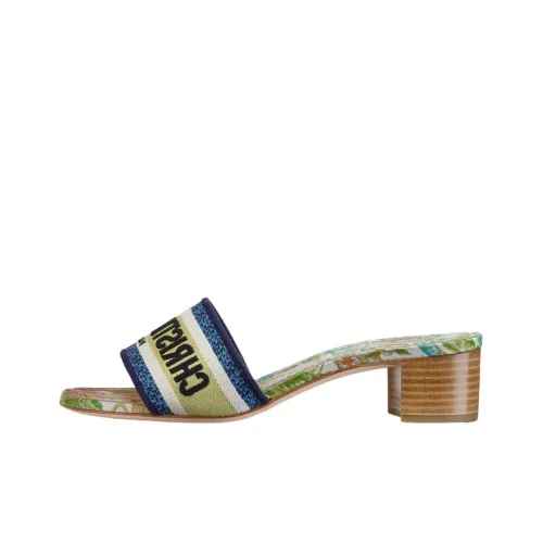 DIOR Dway Слипоны Женские Белые Синие