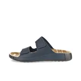 Океанический