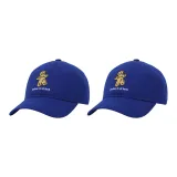 Королевский синий + Королевский синий