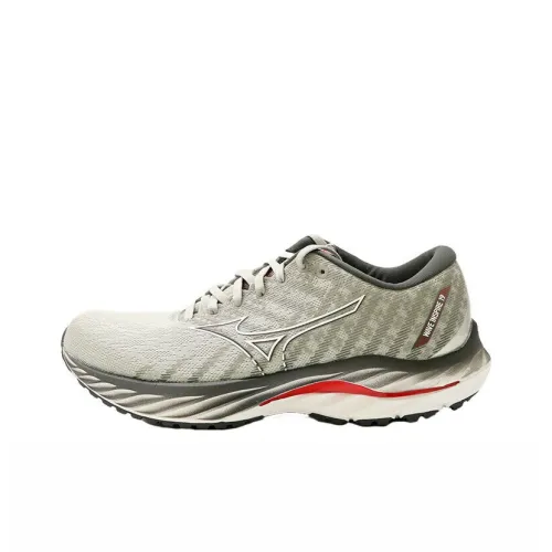 Кроссовки для бега Mizuno Wave Inspire 19, низкий топ, серые, мужские