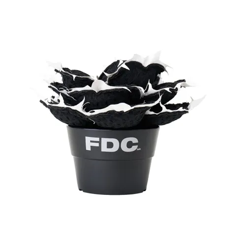 Супер Мета Растение FDC Агавовый Нектар Король Корона Корневые Продукты Trend-Based